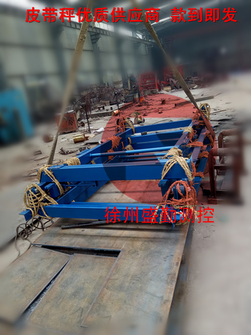 照片 781_副本_副本.jpg 皮帶秤發貨-河北生物發電項目