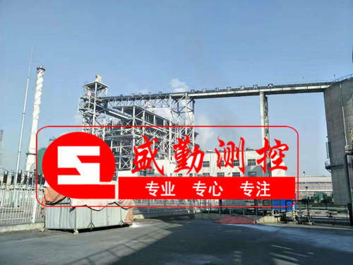 巴基斯坦皮帶秤現場 巴基斯坦皮帶秤現場