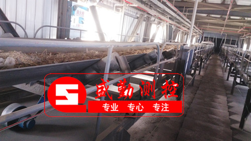 河南皮帶秤現場(生物質) 河南皮帶秤現場(生物質)