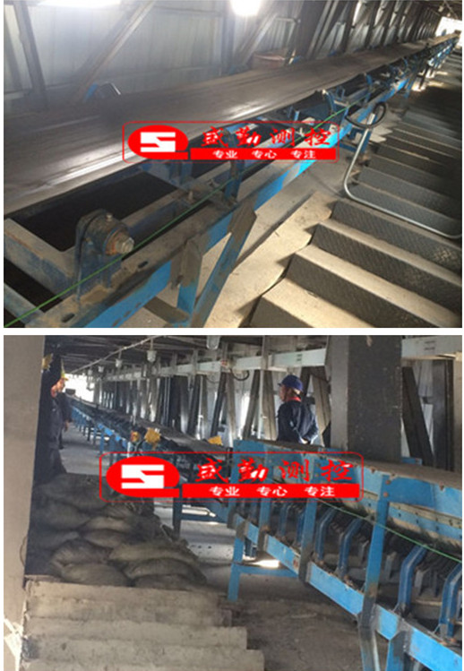 高夫菏澤生物質皮帶秤2021-5.jpg 高夫菏澤生物質皮帶秤2021-5.jpg