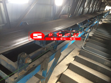 高夫菏澤生物質皮帶秤_副本.jpg 高夫菏澤生物質皮帶秤_副本.jpg