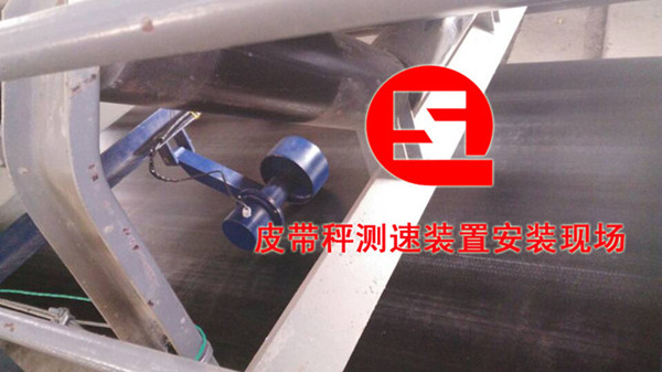 Ƥ���Ӱ��b�F��������ĳ�����|�l늏S��