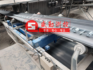 Ƥ����ICS-17B-1000